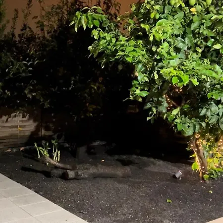 Apartamento Douro Pateo House