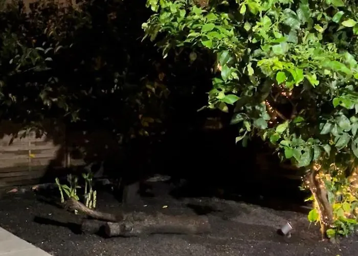 Apartamento Douro Pateo House